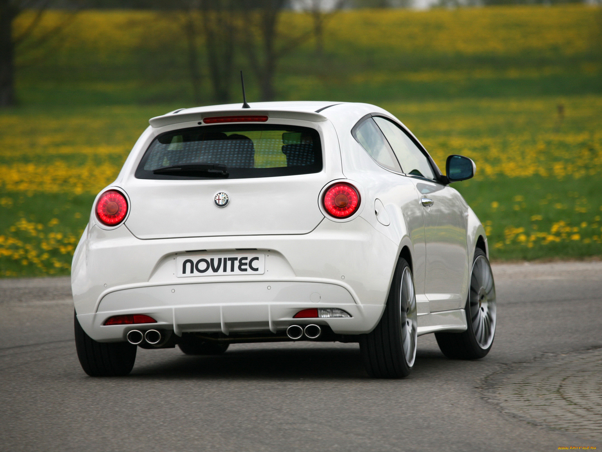 , alfa, romeo